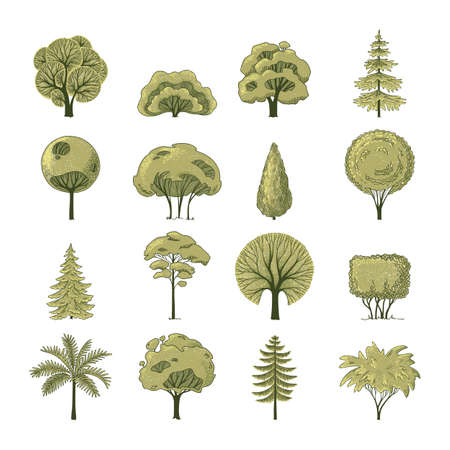Flat forest trees camping elements for landscape design. Different trees in side view. . Vector illustration. EPS 10.のイラスト素材