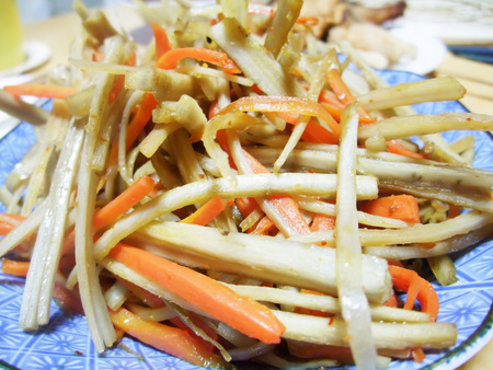 Kibo burdockの写真素材