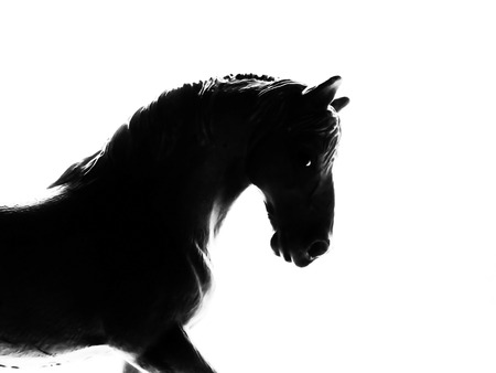 Horse silhouetteの写真素材