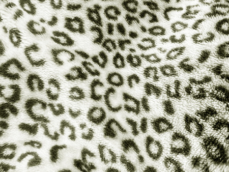 Leopard print fabricの写真素材