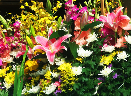 A lot of flowersの写真素材