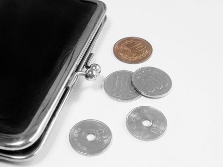 Purse and money