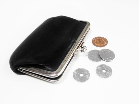 Purse and money
