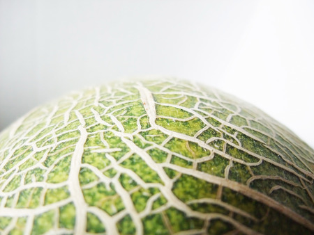 Melonの写真素材