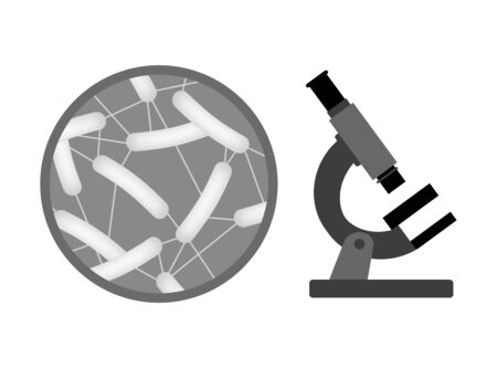 Bacteria appear on the microscopeの写真素材