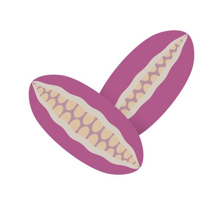 Akebiの写真素材