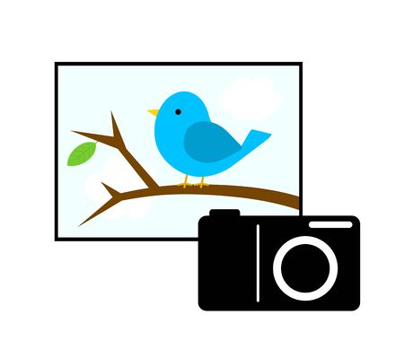 Taking a little bird with a digital camera.の写真素材