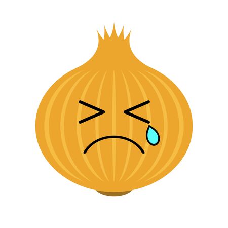 Character of the onionの写真素材