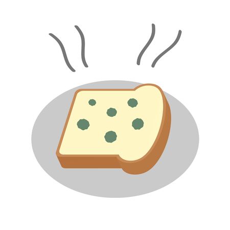 Mildew is growing in breadの写真素材