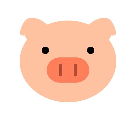 Pig faceの写真素材