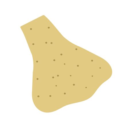 Chinese yamの写真素材