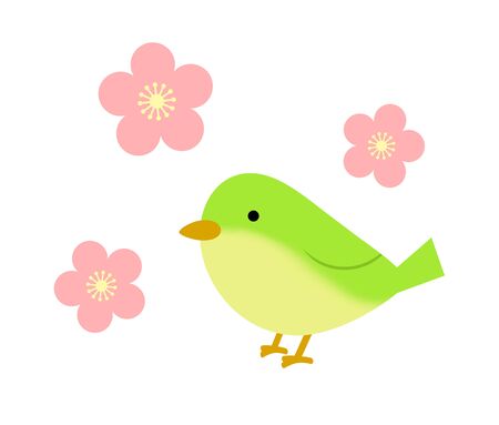 Japanese nightingaleの写真素材