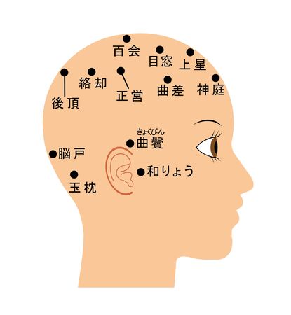 Name of each part of the head.の写真素材