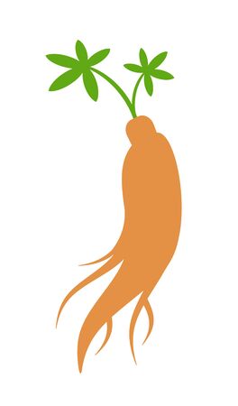 Korai carrotの写真素材