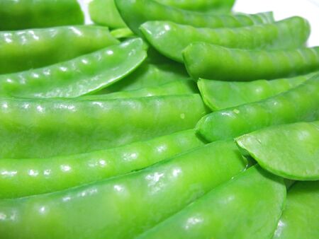 Sayaendoの写真素材