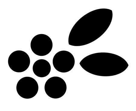 Plum blossoms and leavesの写真素材