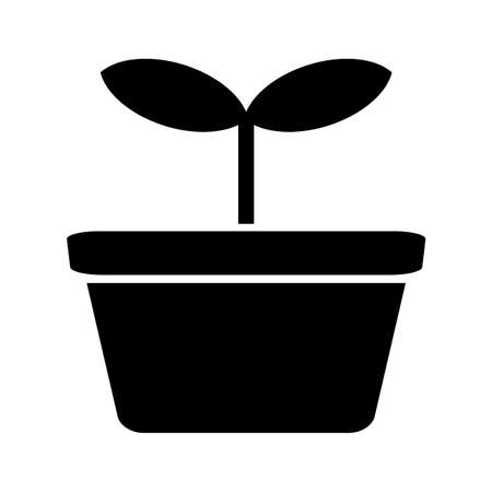 Sprouts are growingの写真素材