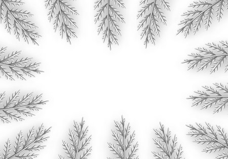 Christmas decorative design elements from silver pine and fir branches. Decor white frame with branches from coniferous cypress tree. Xmas decorations. border with space for text. vector illustrationのイラスト素材
