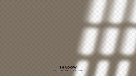 Shadow overlay. Effect light transparent shadow. Realistic creating reflective effect illusions. Overlay for adding scene lighting to your images. Vector illustration.のイラスト素材