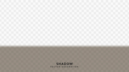 Shadow overlay. Effect light transparent shadow. Realistic creating reflective effect illusions. Overlay for adding scene lighting to your images. Vector illustration.のイラスト素材