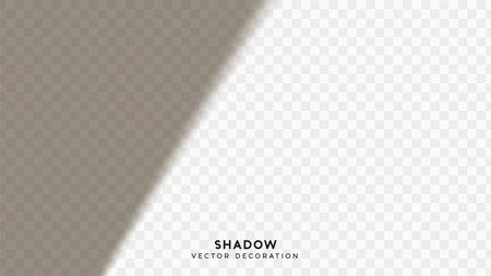 Shadow overlay. Effect light transparent shadow. Realistic creating reflective effect illusions. Overlay for adding scene lighting to your images. Vector illustration.のイラスト素材
