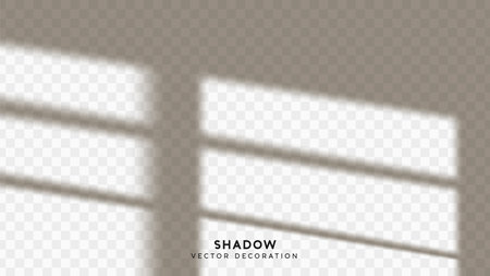 Shadow overlay. Effect light transparent shadow. Realistic creating reflective effect illusions. Overlay for adding scene lighting to your images. Vector illustration.のイラスト素材
