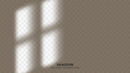 Shadow overlay. Effect light transparent shadow. Realistic creating reflective effect illusions. Overlay for adding scene lighting to your images. Vector illustration.のイラスト素材
