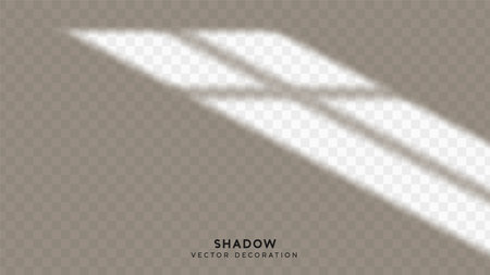 Shadow overlay. Effect light transparent shadow. Realistic creating reflective effect illusions. Overlay for adding scene lighting to your images. Vector illustration.のイラスト素材