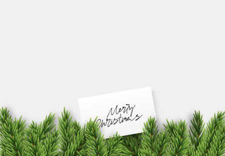 Background with pine spruce realistic branches. bottom line. Decorative Christmas design element. Xmas decor. space for text on white paper. vector illustrationのイラスト素材