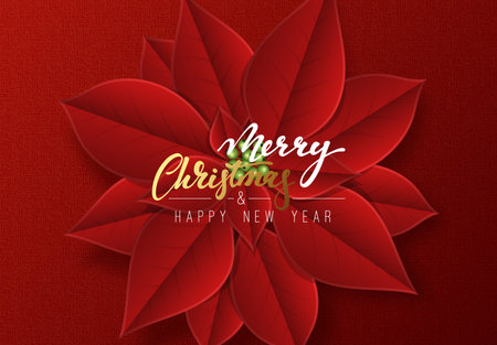 Merry Christmas, background decorated with beautiful red buds poinsettia flowers.のイラスト素材