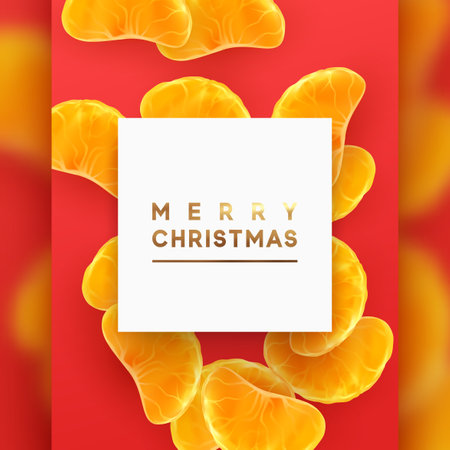 Merry Christmas card. Fruit pink background. Slices of orange and mandarin are scattered.のイラスト素材