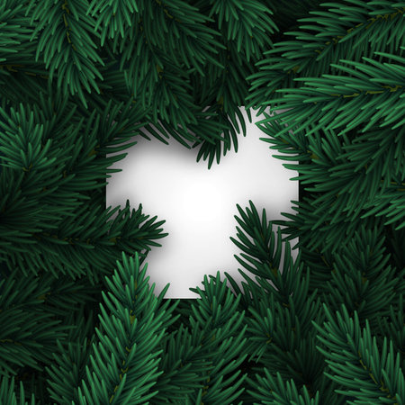 Christmas tree branches. Frame of green branch of pine. Festive Xmas borderのイラスト素材