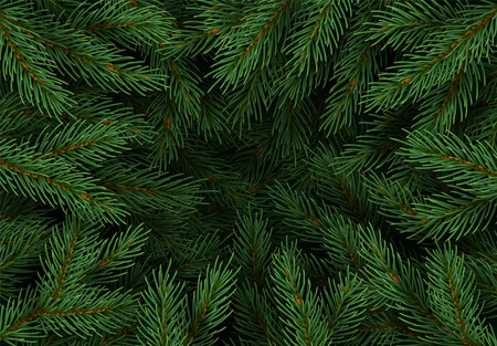 Christmas tree branches. Festive Xmas border of green branch of pine. Pattern pine branches, spruce branch. Realistic design decoration elements. Vector illustrationのイラスト素材