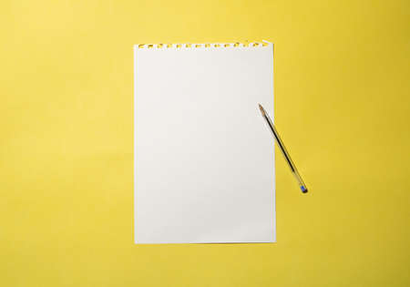 White paper with pen against yellow background. Minimal school concept.の写真素材