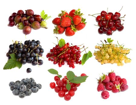 Set of berries isolated on white backgroundの写真素材