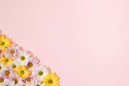 Flowers color composition on a pink background.の写真素材
