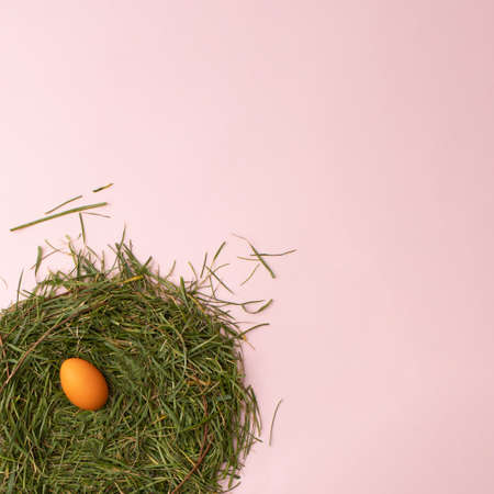 Easter orange egg in nest on a pink background. Flat lay.の写真素材