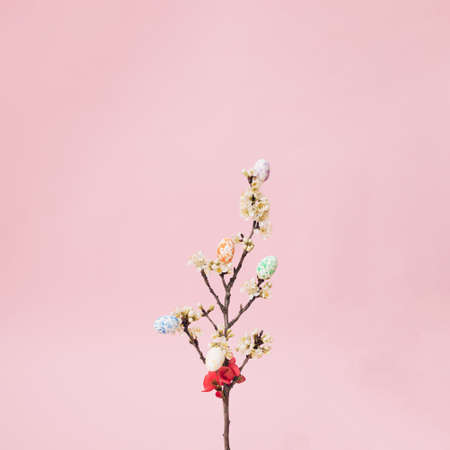 Easter eggs on branches with white and red flowers on a pink pastel background with copy space. Minimal design.の写真素材