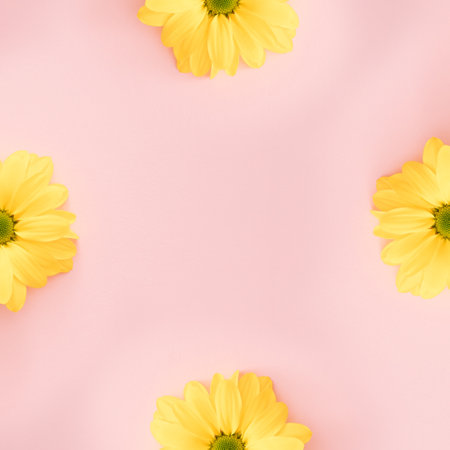 Four halves of a yellow flower on a pink background. Copy space.の写真素材