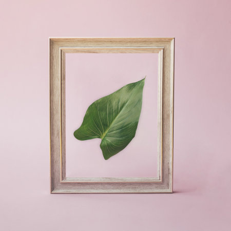 Palm green leaf inside wooden frame. Copy space. Pink background. Minimal pattern.の写真素材