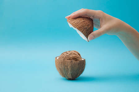 A beautiful female hand holds half a coconut, and in the other half is a walnut. Blue background.の写真素材