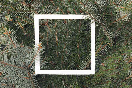 New year Christmas tree with white square white frame and copy space.の写真素材