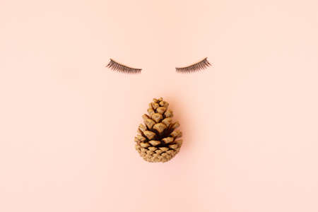 Pine Cone with eyelashes on pink pastel background. Minimal design. Copy space.