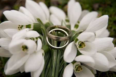 Wedding Ringsの写真素材