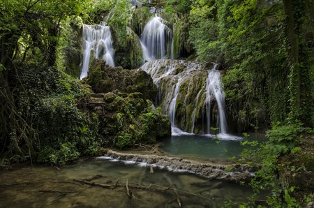 Forest Waterfallsの写真素材