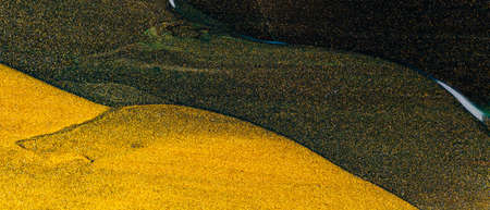 Abstract gold glitter texture. Gold glittering smear on a dark green background. Gold and green...