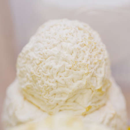 Ball of brie cheese close-up. Handmade soft cheese with mold. Goat cheese mold textureの写真素材