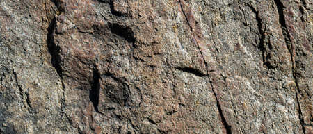 Granite rock texture. Cracked granite surface from weathering. Close-up of stone surface. Earth...