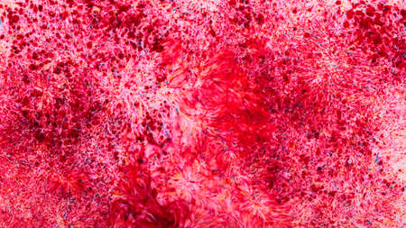 Dark pink abstract background. Pink spots on a liquid surface. pink fluid art texture