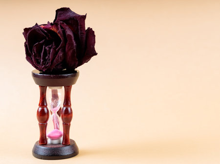 Dried Rose on Hourglass, Concept Time for Change, Copy Spaceの写真素材